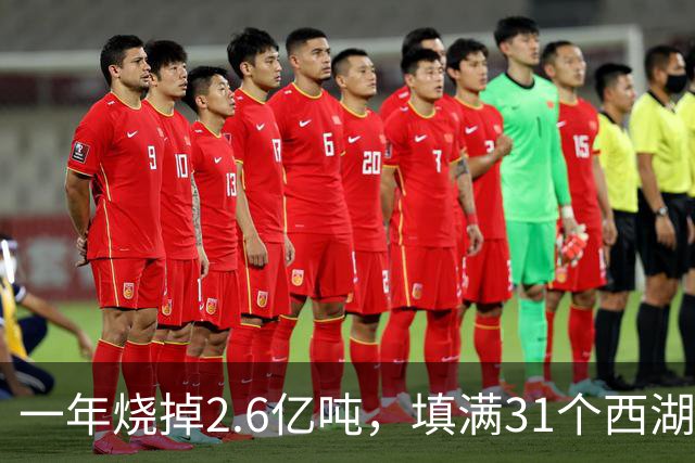 一年烧掉2.6亿吨，填满31个西湖！中国的垃圾，不够烧了？