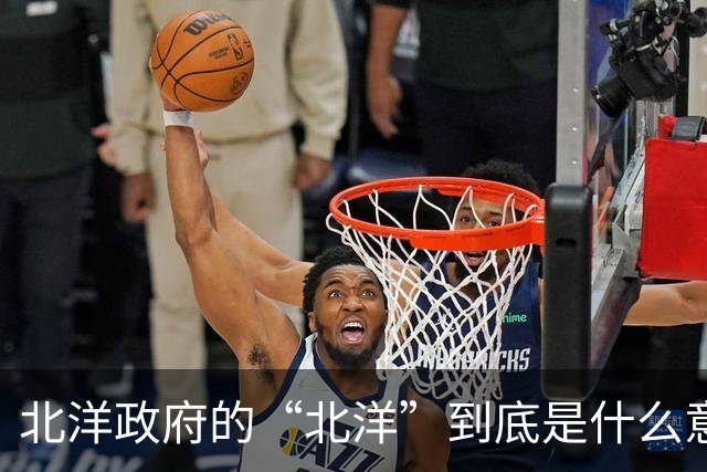北洋政府的“北洋”到底是什么意思？不是北方洋人的意思