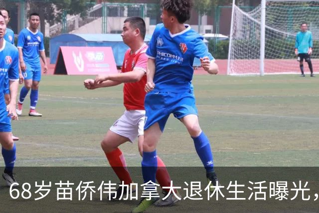 68岁苗侨伟加拿大退休生活曝光，遛狗赏花好惬意，两鬓花白仍健硕